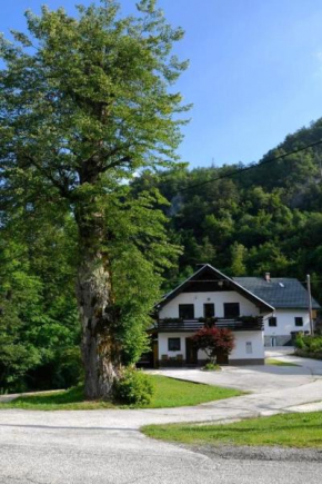 Apartma pri lipi